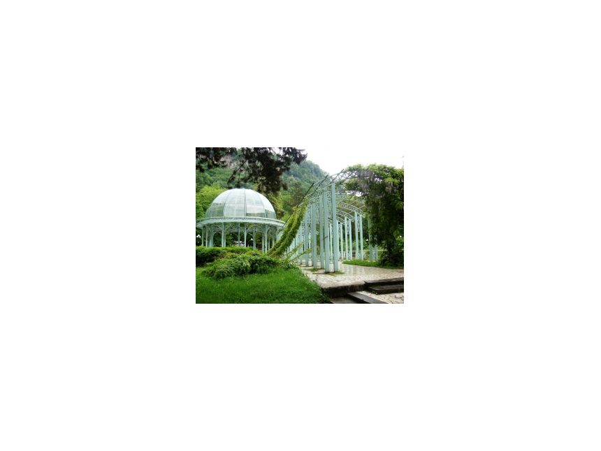 დღიანი ტური ბორჯომში აგვისტოს