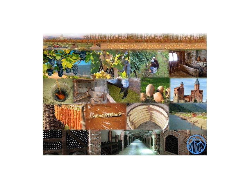 შემოდგომა კახეთში - ღვინის ტური