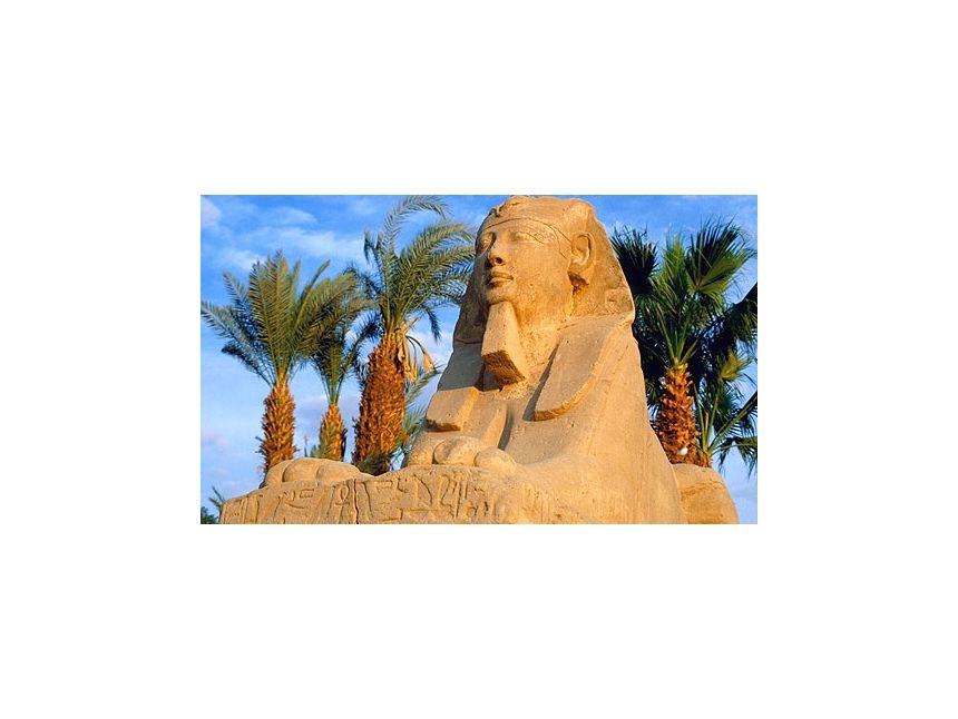 ▸▸ ჰურგადა / ეგვიპტე ▸▸ სრული პაკეტი - დან!