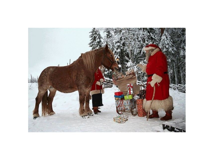 თოვლის ბაბუა