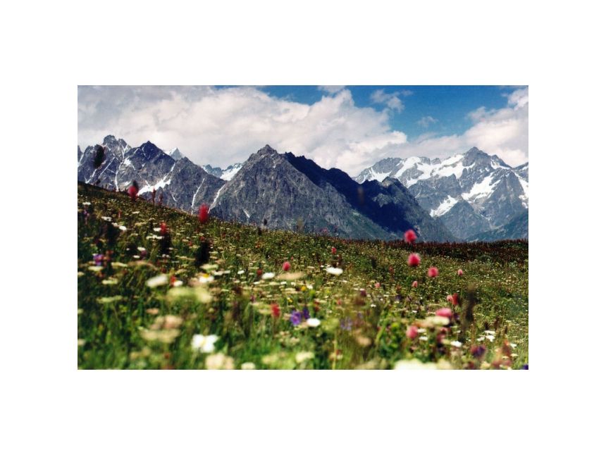 დღიანი ტური რაჭაში