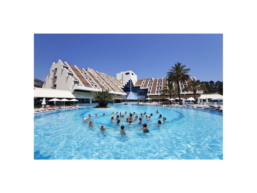 იჩქარეთ დარჩენილია ადგილი!