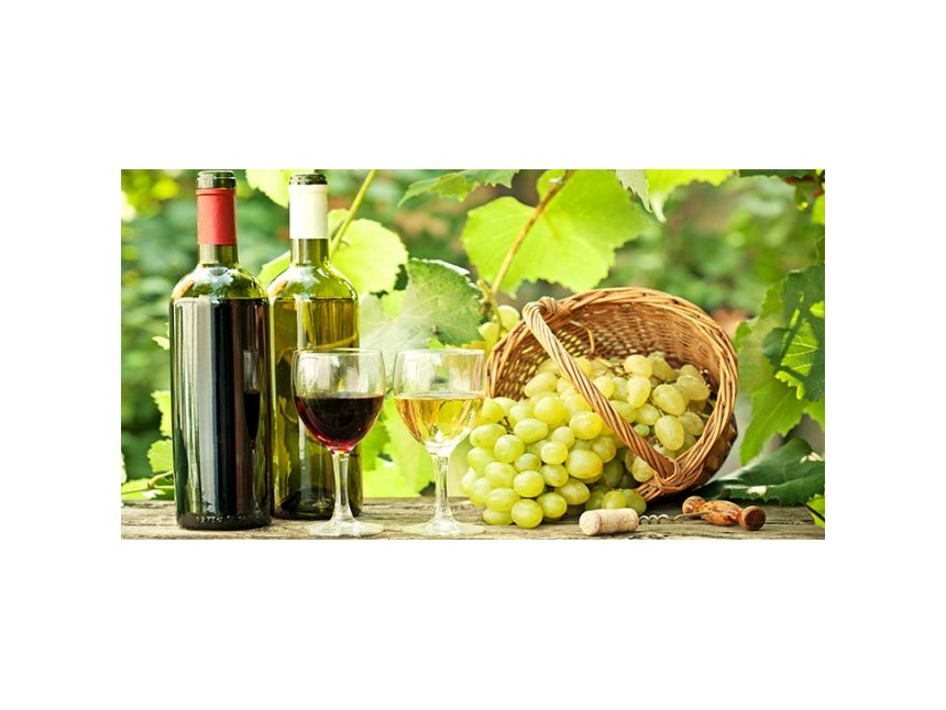 ღვინის ტური - ბოდბე სიღნაღი