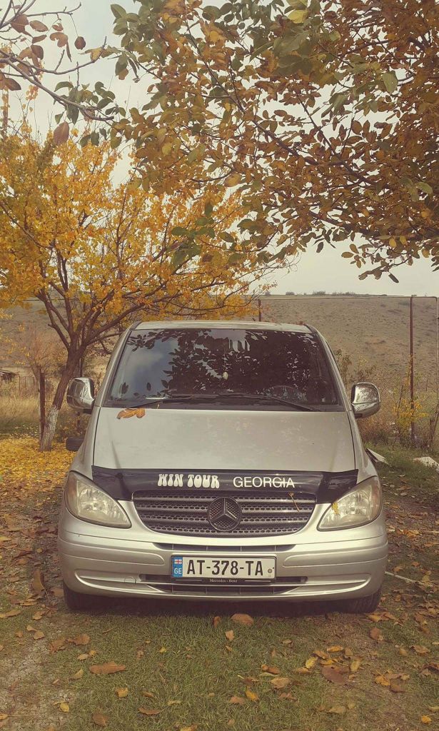 მინივენი - MERCEDES-BENZ