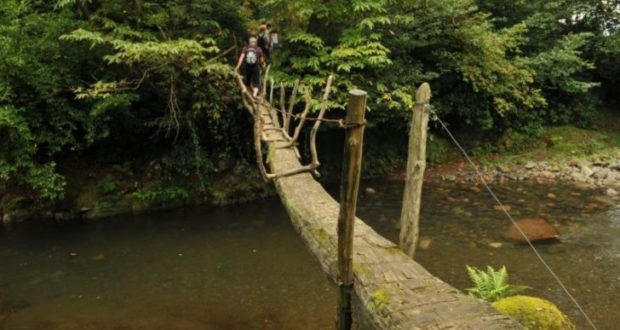 მინივენი - MERCEDES-BENZ