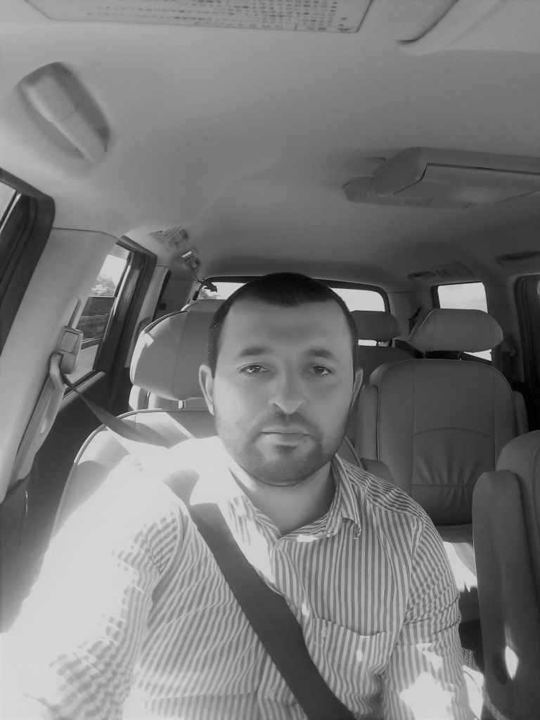 მინივენი - HONDA