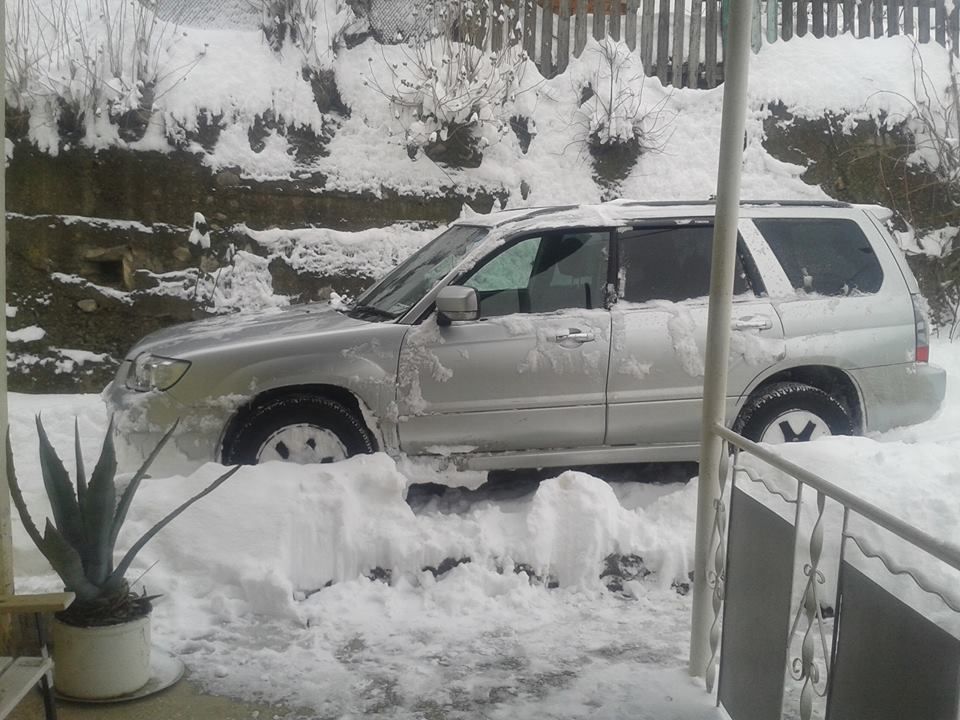 ჯიპი - SUBARU